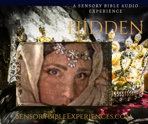 A Sensory Bible Audio Experience HIDDEN